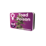 Growers Choice Toad Venum cannabis plant image 2