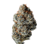 Growers Choice Toad Venum cannabis plant image 3
