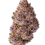 Growers Choice Unicorn Wagyu cannabis plant image 3
