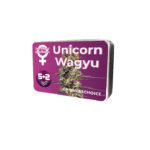 Growers Choice Unicorn Wagyu Auto cannabis plant image 3