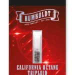 Humboldt Seed Company California Octane TRIPLOID cannabis plant image 2