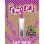 Humboldt Seed Company Candy Hustle cannabis plant image 3