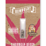 Humboldt Seed Company Caribbean Queen cannabis plant image 2