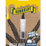 Humboldt Seed Company Hella Jelly Auto cannabis plant image 2