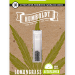 Humboldt Seed Company Lemongrass Auto cannabis plant image 2