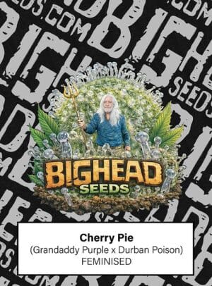 Cherry Pie