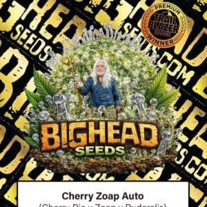 Big Head Seeds Cherry Zoap Auto cannabis plant image 1