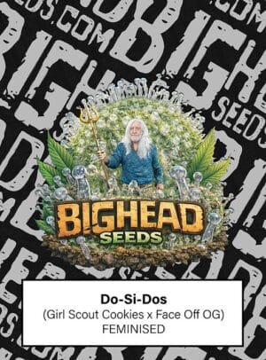 DoSiDos