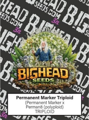 Permanent Marker TRIPLOID
