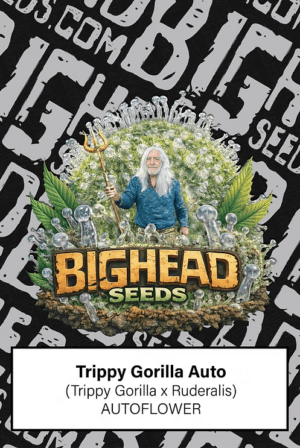 Trippy Gorilla Auto