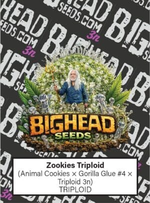Zookies TRIPLOID