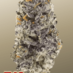FastBuds Z42 cannabis plant image 1
