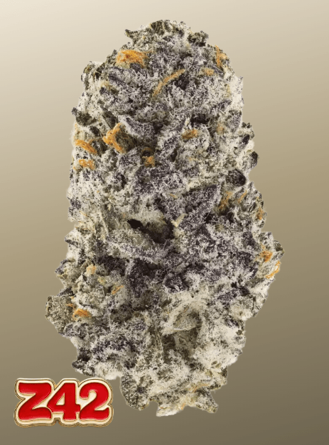 FastBuds Z42 cannabis plant image 1