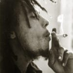 Humboldt Seed Company Bob Marley Redemption cannabis plant image 3