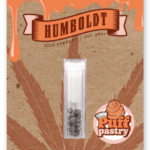 Humboldt Seed Company Puff Pastry cannabis plant image 4