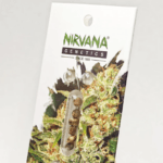 Nirvana Seeds Amnesia Auto cannabis plant image 4