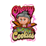 Pure Instinto Cherry Cookies cannabis plant image 3