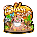 Pure Instinto Golden Truffle cannabis plant image 2