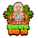 Pure Instinto Grateful End OG cannabis plant image 6