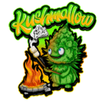 Pure Instinto Kushmallow cannabis plant image 5