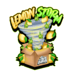 Pure Instinto Lemon Storm cannabis plant image 3