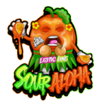 Pure Instinto Sour Aloha cannabis plant image 5