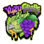 Pure Instinto Yuzu Grape Kush cannabis plant image 3