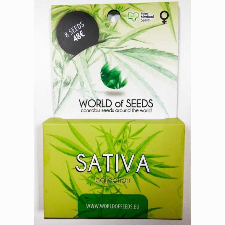 World of Seeds WOS Sativa Collection cannabis plant image 1