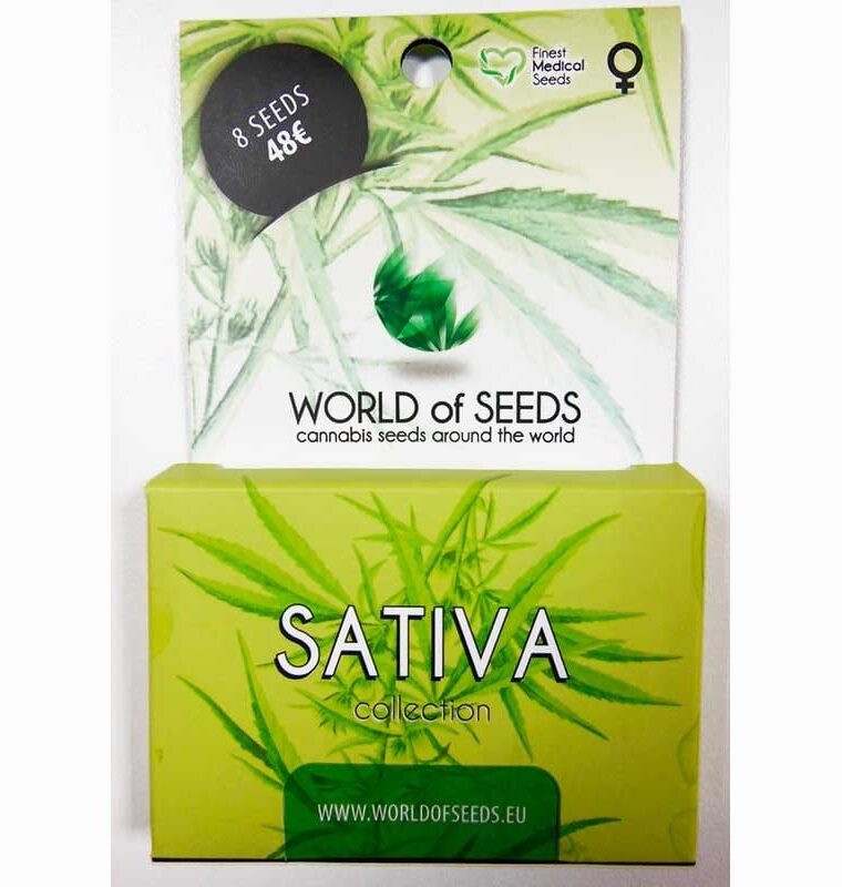 World of Seeds WOS Sativa Collection cannabis plant image 1