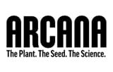 Arcana Collective