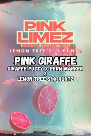 Pink Giraffe
