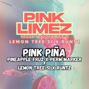 Pink Pina
