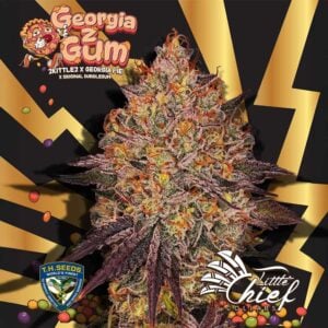 GeorgiaZgum