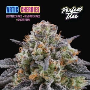 Artic Cherries