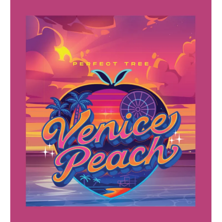 Perfect Tree Seeds Venice Peach cannabis plant image 1