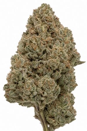 Professor Trichome – Fire OG Kush