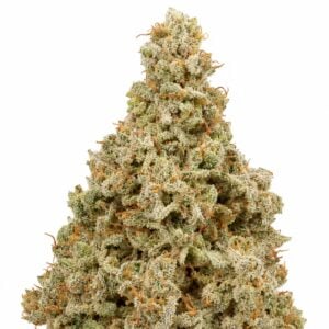 Big Bud Auto