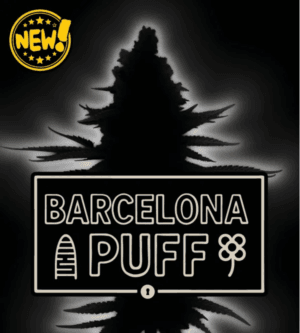 Barcelona Puff Auto