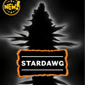 Seed Stockers Stardawg (Manny Cut) cannabis plant image 1