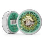 Soma Seeds Buddha’s Sister cannabis plant image 2