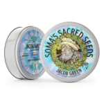 Soma Seeds Jacob Green cannabis plant image 2