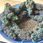 Soma Seeds So Purple cannabis plant image 1