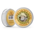 Soma Seeds Sogouda cannabis plant image 2