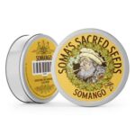 Soma Seeds Somango cannabis plant image 2