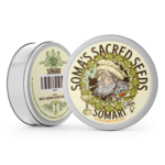 Soma Seeds Somari cannabis plant image 2
