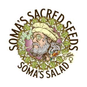 Soma’s Salad