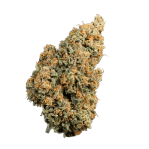 Oreoz Z TRIPLOID