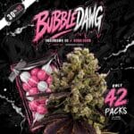 TH Seeds Bubble Dawg cannabis plant image 1