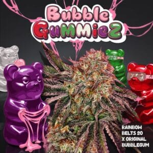 BubbleGummieZ