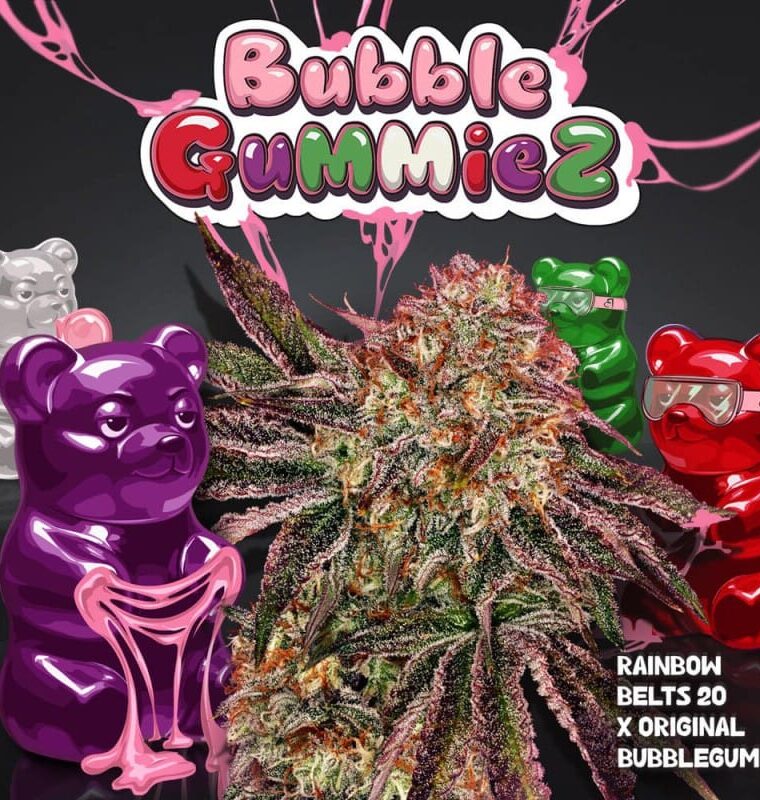TH Seeds BubbleGummieZ cannabis plant image 1